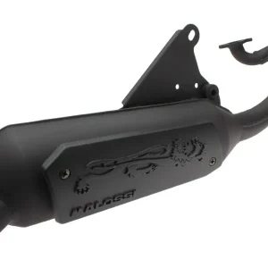 Avgassystem - Malossi Wild Lion Köp nu