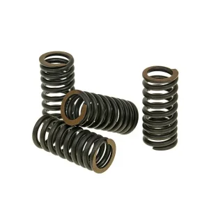 Fri frakt Ventilfjädersats Malossi Titanium - Aprilia Piaggio Vespa Gilera V4