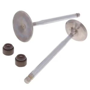 Pengarna tillbaka Ventilsats Malossi Racing Aprilia, Malaguti, MBK, Yamaha Maxi Scooter