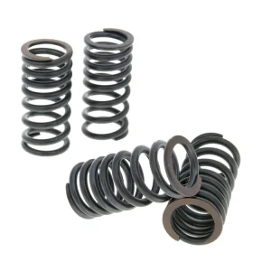 Endast idag Ventilfjädersats Malossi Sport Aprilia, Gilera, Malaguti, Piaggio 400, 500cc