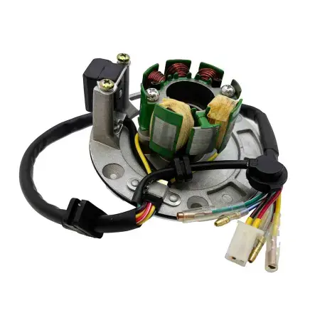 Magnet och statorkåpa 140cc Zongshen Expressleverans