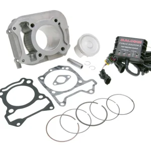 Original Cylinderkit Malossi I-Tech 185cc Vespa Primavera, Sprint 125-150, Piaggio Liberty 125 3V 4T AC