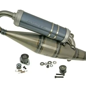 Avgassystem Malossi [MHR] - Runner 125 FX 180 FXR = M.3219653 Expressleverans