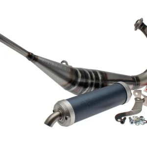 Avgassystem Malossi MHR Replica för Aprilia RS4 50 2T LC D50B 2012- Euro2- Premium